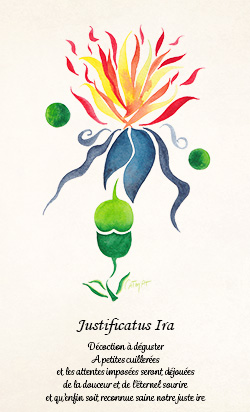 Herbier de la sorciere libre Aquarelle CatMat 2024 Fleur imaginaire